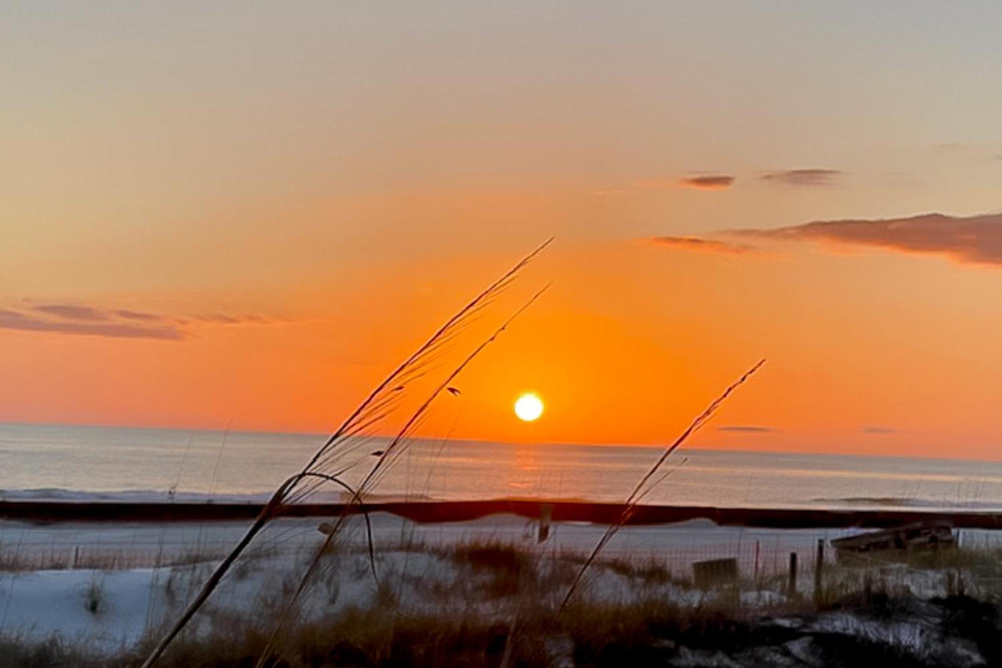 Dunes Of Panama Condos Panama City Beach Room photo